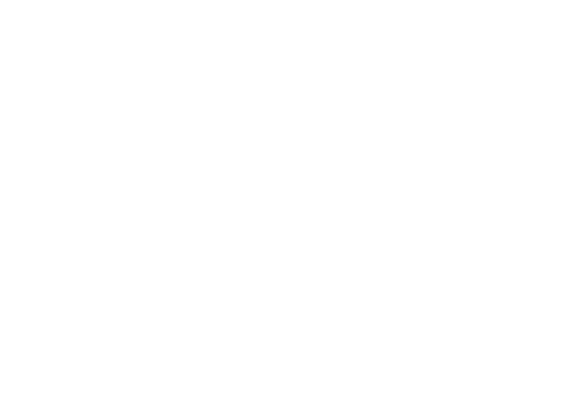 Vds logo